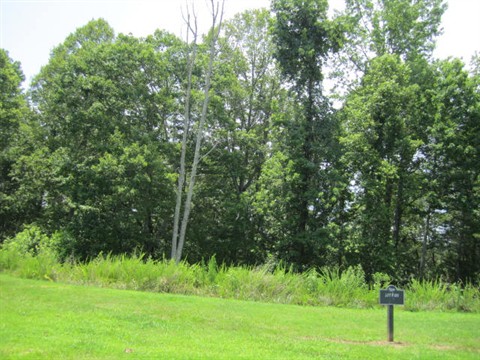 Image of Property